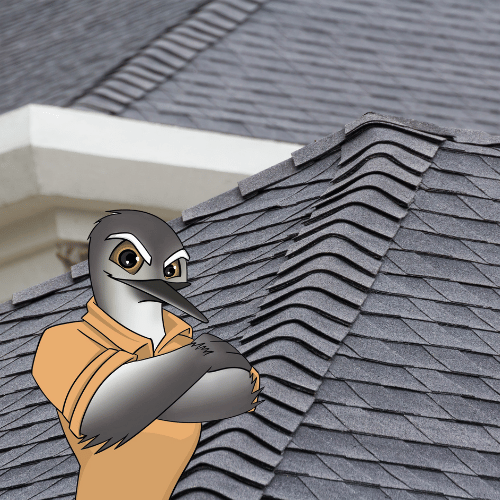Residential Roof Inspection in McKinney, TX