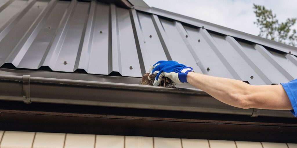 Metal Roof Maintenance Metal Roof Maintenance