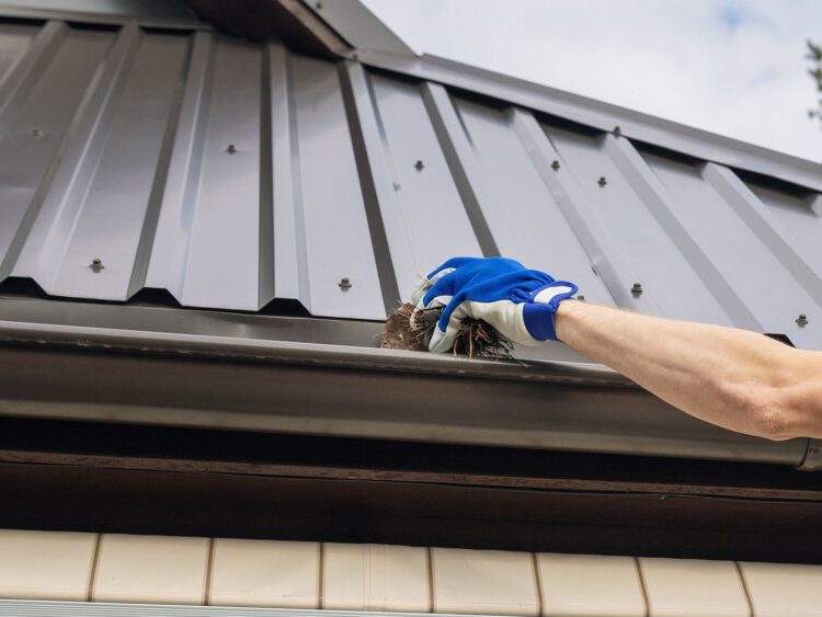 Metal Roof Maintenance Metal Roof Maintenance