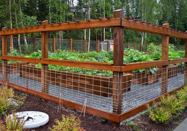 Garden Fencing Garden Fencing