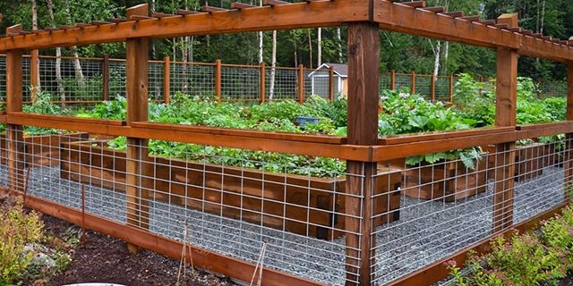 Garden Fencing Garden Fencing