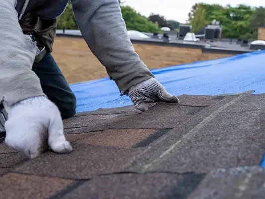 Shingle Roof Replacement Shingle Roof Replacement