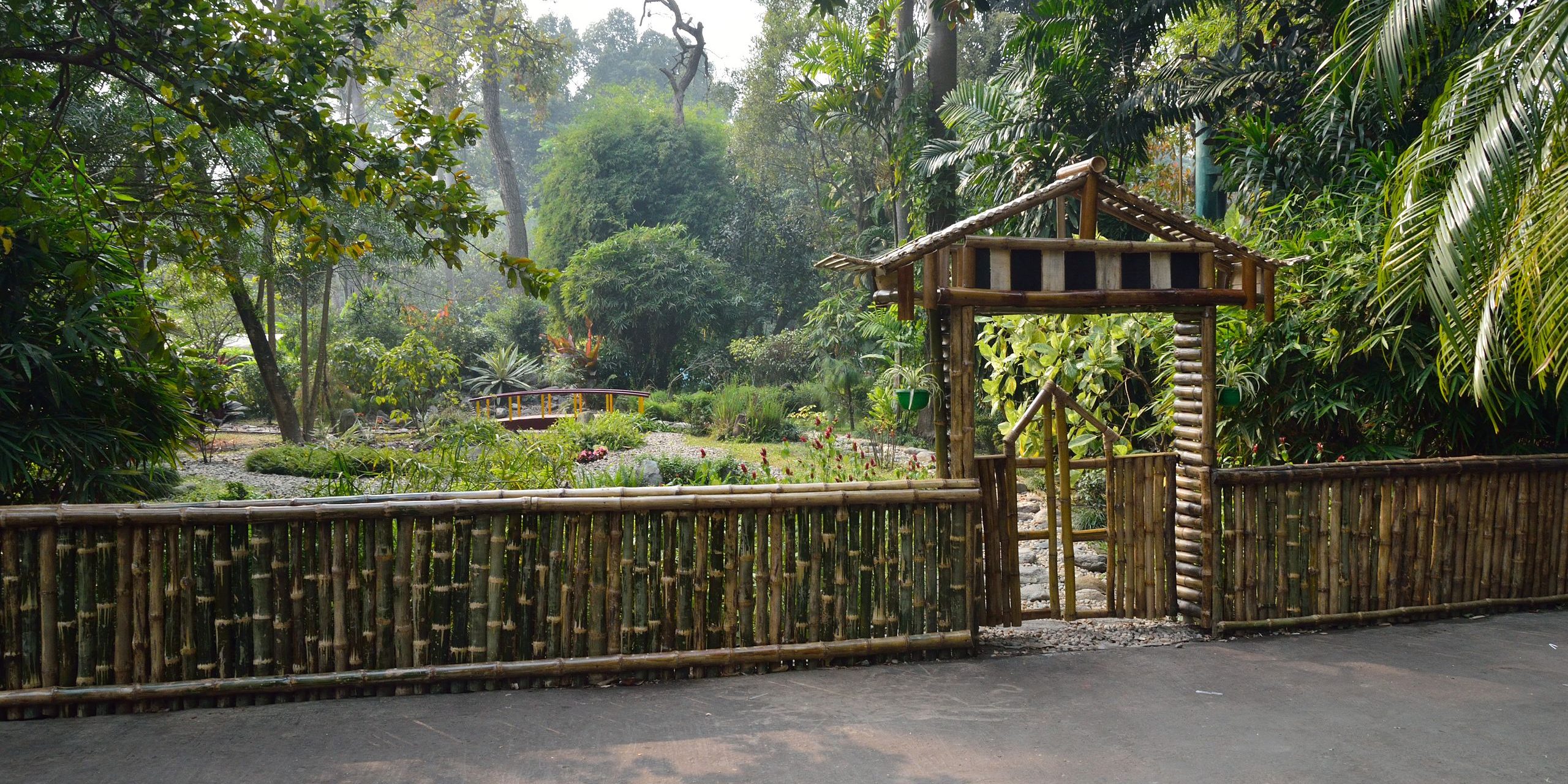 Bamboo Fencing Bamboo Fencing