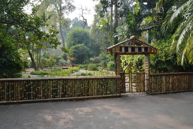 Bamboo Fencing Bamboo Fencing