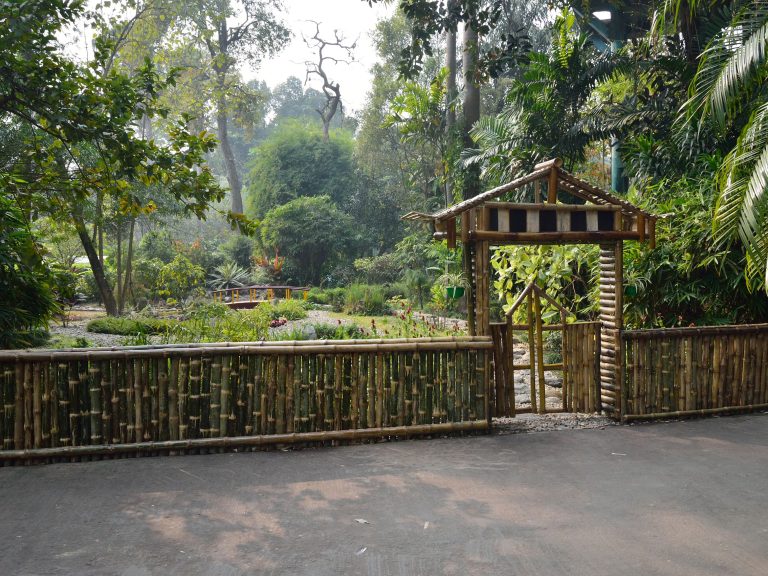 Bamboo Fencing Bamboo Fencing