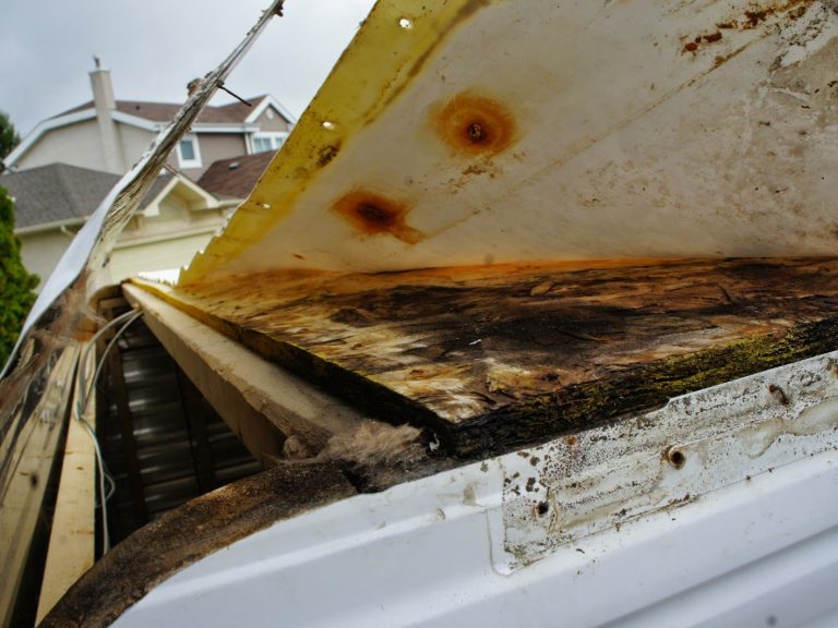 Camper Roof Repair Camper Roof Repair