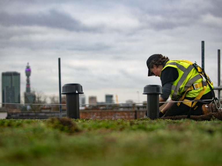 Green Roof Maintenance Green Roof Maintenance
