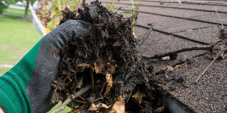 Pristine Roofing Outdoor Services Pristine Roofing Outdoor Services