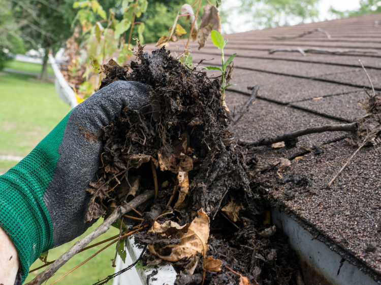 Pristine Roofing Outdoor Services Pristine Roofing Outdoor Services