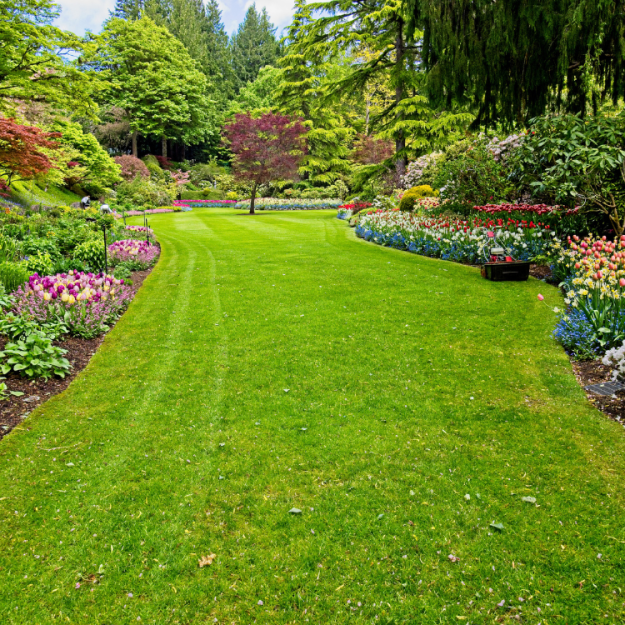 Pristine Roofing Outdoor Services Pristine Roofing Outdoor Services