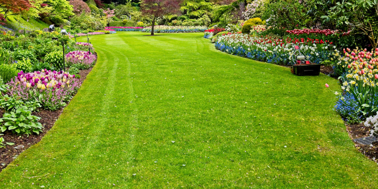 Pristine Roofing Outdoor Services Pristine Roofing Outdoor Services