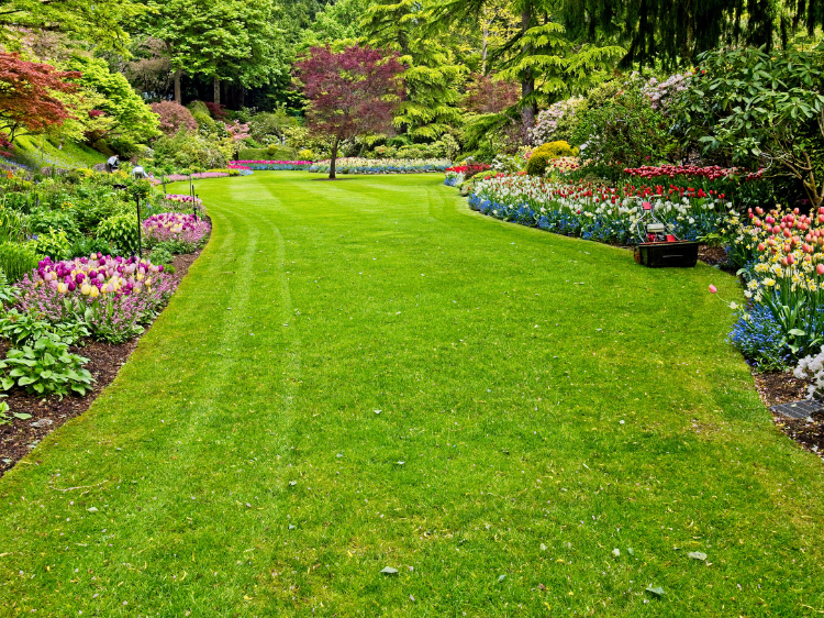 Pristine Roofing Outdoor Services Pristine Roofing Outdoor Services