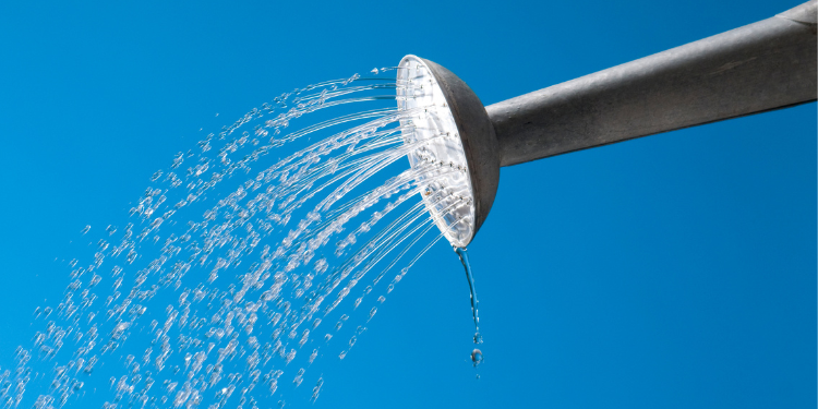 Pristine Roofing Outdoor Services Pristine Roofing Outdoor Services