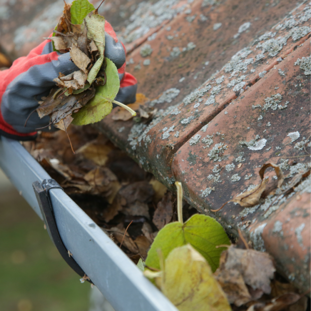 Pristine Roofing Outdoor Services Pristine Roofing Outdoor Services