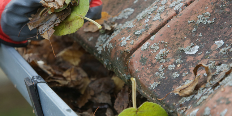 Pristine Roofing Outdoor Services Pristine Roofing Outdoor Services