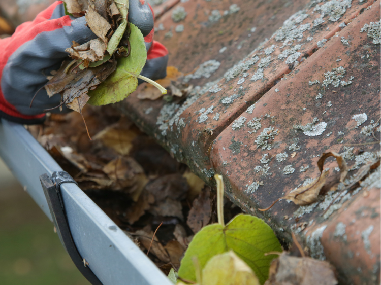 Pristine Roofing Outdoor Services Pristine Roofing Outdoor Services