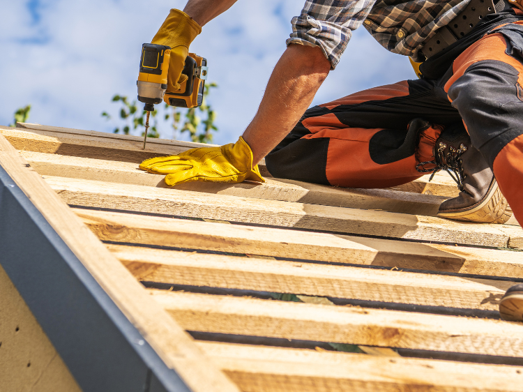 Pristine Roofing Outdoor Services Pristine Roofing Outdoor Services