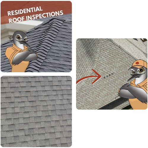 Roof Inspections