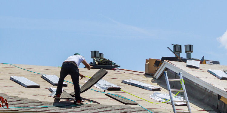 Pristine Roofing Outdoor Services Pristine Roofing Outdoor Services