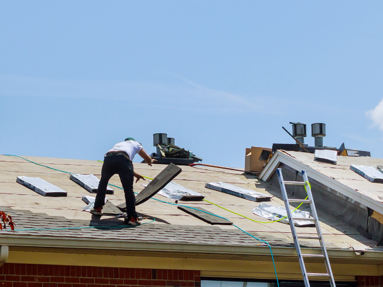 Pristine Roofing Outdoor Services Pristine Roofing Outdoor Services