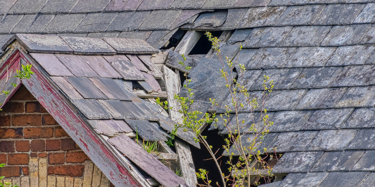 Pristine Roofing Outdoor Services Pristine Roofing Outdoor Services