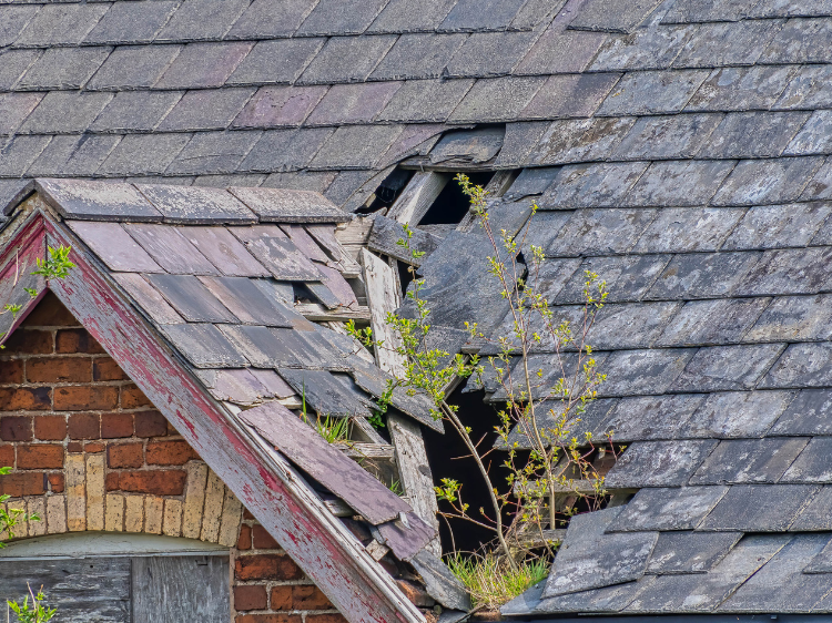 Pristine Roofing Outdoor Services Pristine Roofing Outdoor Services