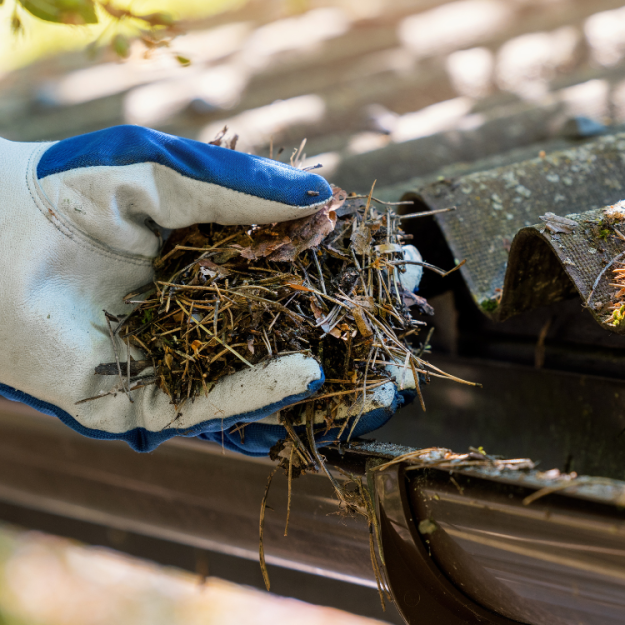 Pristine Roofing Outdoor Services Pristine Roofing Outdoor Services