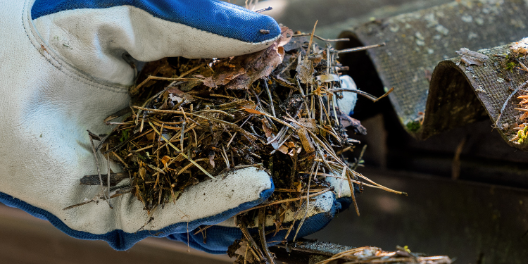 Pristine Roofing Outdoor Services Pristine Roofing Outdoor Services