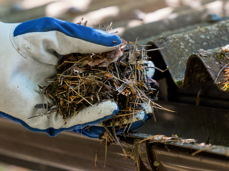 Pristine Roofing Outdoor Services Pristine Roofing Outdoor Services
