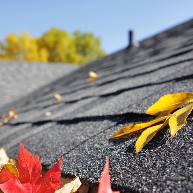 Pristine Roofing Outdoor Services Pristine Roofing Outdoor Services