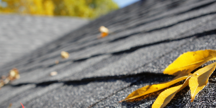 Pristine Roofing Outdoor Services Pristine Roofing Outdoor Services