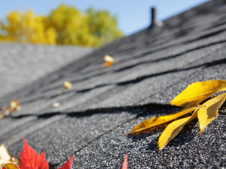 Pristine Roofing Outdoor Services Pristine Roofing Outdoor Services