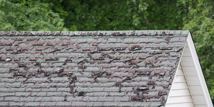 Shingle Roofs in McKinney TX Shingle Roofs in McKinney TX