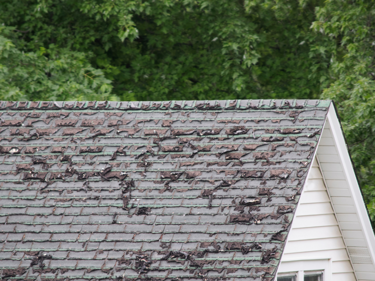 Shingle Roofs in McKinney TX Shingle Roofs in McKinney TX