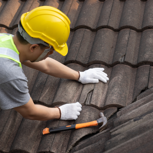 Shingle Roofs in McKinney TX Shingle Roofs in McKinney TX