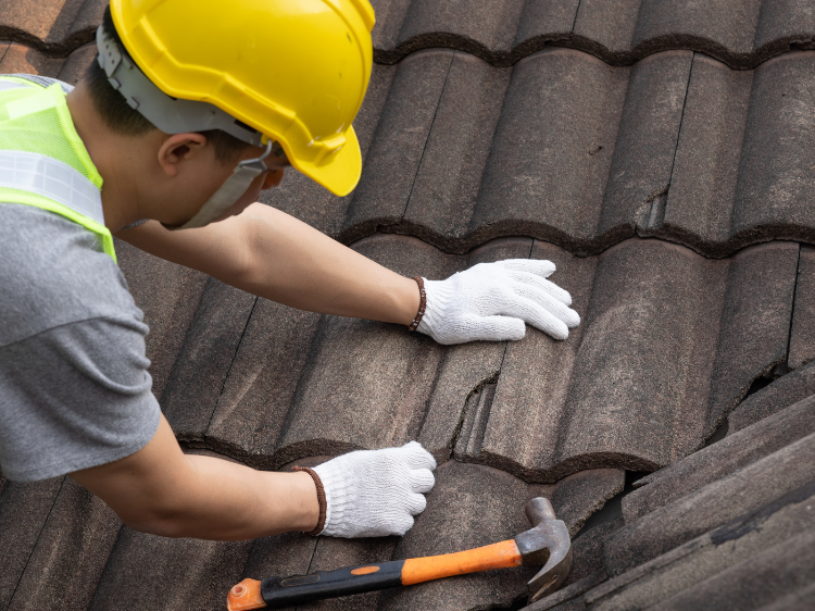 Shingle Roofs in McKinney TX Shingle Roofs in McKinney TX